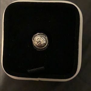 Capricorn pandora charm